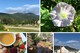 MA Personal and Organizational Wellness Retreat Setting for Course
